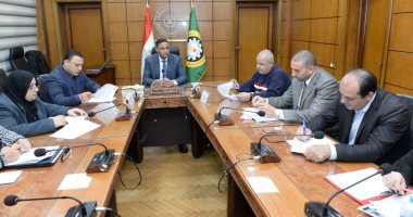 محافظ الدقهلية يعدل بنودا بلائحة الإعلانات بما يتضمن كافة الشروط والإجراءات