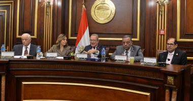 نيفين الكيلانى تستعرض جهود وزارة الثقافة لدعم حقوق الإنسان بمجلس الشيوخ