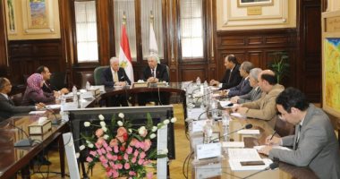 ‫وزير الزراعة يبحث مع محافظ جنوب سيناء تنفيذ مصنع الثلج وتطوير سوق السمك