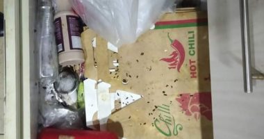 تحرير 47 محضراً وضبط مواد غذائية فاسدة بحملة مكبـرة بطور سينــــاء
