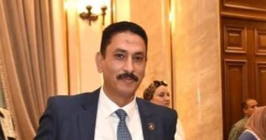 تجديد تعيين الدكتور عصام جميل مديرا لمركز التعليم المدمج بجامعة القاهرة