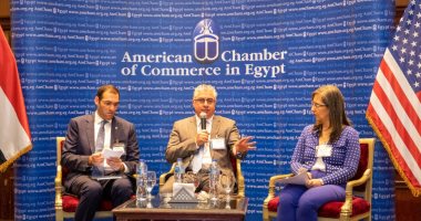 جمال الدين: طرح فرص استثمارية فى وادى التكنولوجيا أمام الشركات العام المقبل 