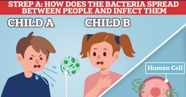 خبراء الصحة يحذرون: بكتيريا Strep A تسبب عددًا لا يحصى من الالتهابات بالجسم