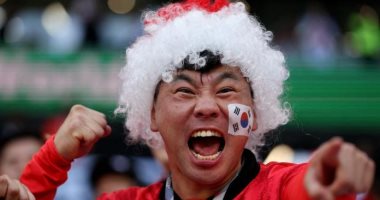 الجمهور هو الحكم.. لحظات الألم والأمل فى مدرجات كأس العالم 2022