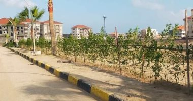 محافظات مصر تسابق الزمن لتنفيذ مبادرة الرئيس السيسي لزراعة 100مليون شجرة.. 40 ألف شجرة مثمرة بالشرقية و5 آلاف فى الفيوم.. تشجير مسار رحلة العائلة المقدسة بأسيوط.. و3000 شجرة برأس البر و4700 بشوارع قنا.. صور