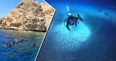 اعرف الفوائد البيئية والاقتصادية لمواقع الغوص الجديدة فى البحر الأحمر