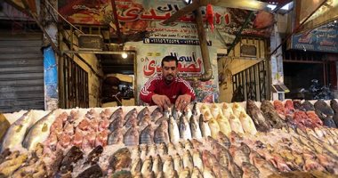 صورة ومعلومة.. "شادر السمك" رزق النيل والبحر على كل لون