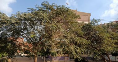  طقس مستقر  على مدن وقرى محافظة المنوفية وبرودة خفيفة فى الجو.. صور
