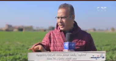 جابر القرموطى يستعرض حصاد موسم الفراولة بإحدى القرى بالقليوبية