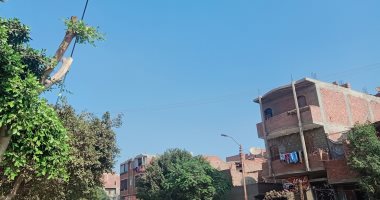طقس بنى سويف اليوم.. استقرار فى الأحوال الجوية وسطوع لأشعة الشمس