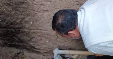 كيف تصدت مديرية الزراعة بالشرقية لهجوم النمل الأبيض على عدد من منازل قرية بنى عامر؟.. مدير المكافحة: أقمنا 60 مصيدة للقضاء على "القرضة".. ومتابعات دورية للبؤرة تحسبا لمعاودة الإصابة.. صور