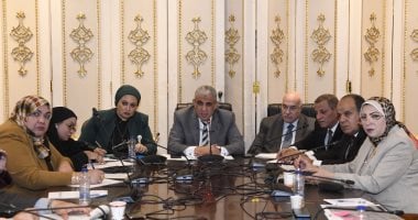 "قوى النواب" تناقش طلب إحاطة بشأن الحقوق التأمينية للعاملين بغزل ونسيج كفر الدوار 