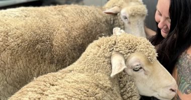 خبيرة تجميل أمريكية تترك عملها لإنقاذ الحيوانات المعاقة