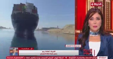 أسامة ربيع: كل دولار من القناة يذهب للدولة والقانون الجديد يُمكّن الهيئة اقتصاديا