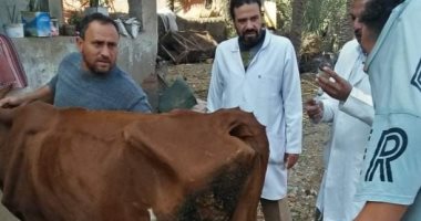 جامعة الزقازيق توجه قافلة بيطرية لقرية الشبانات مركز الزقازيق 