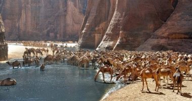 10 معلومات عن محمية وادى الجمال