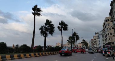 طقس الإسكندرية الآن.. غيوم وسحب منخفضة وانخفاض درجات الحرارة