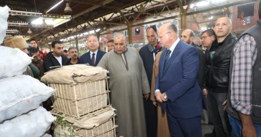 محافظ القاهرة: توافر الخضراوات والأسماك بأسعار مناسبة فى سوق العبور 