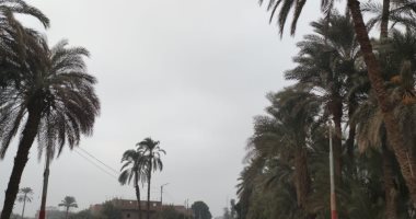 طقس سوهاج اليوم.. سحب كثيفة وانخفاض فى الحرارة وشبورة كثيفة على الطرق.. صور