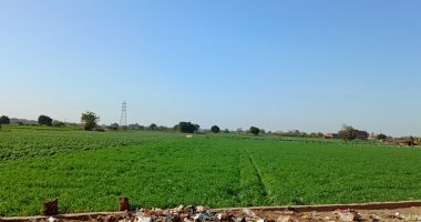 طقس المنوفية اليوم.. أجواء باردة وانتظام وسيولة فى الحركة المرورية