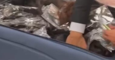 جمارك مطار القاهرة تضبط محاولة تهريب 48 كيلو من الشعر الطبيعى   