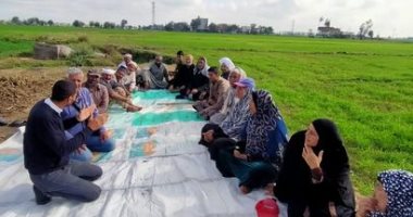 زراعة 200 ألف فدان قمح و95 ألف فدان بنجر وتنفيذ مدارس حقلية بكفر الشيخ