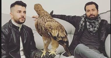 أحمد حاتم يستقبل رامز أمير برفقة طائر العقاب "رهبة" بمنزله