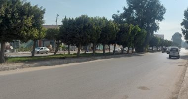 تعرف على طقس الإسماعيلية وانتظام حركة السفن والمعديات بقناة السويس