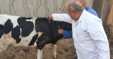 "بيطرى المنوفية":  تحصين ما يزيد عن 329 ألف رأس ماشية وأغنام