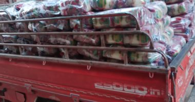 تموين الأقصر تضبط 6 أطنان أرز بدون سعر وكميات من السلع الغذائية بمخازن.. صور
