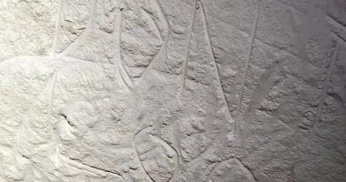 مخربون يدمرون صخورا نادرة تعود للسكان الأصليين فى إسبانيا.. شاهدها