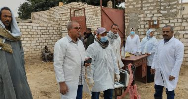 تحصين 42577 رأس ماشية ضد الحمى القلاعية وحمى الوادى المتصدع بالأقصر