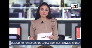 الحكومة تنفى رفض البنك المركزى توفير تمويلات لاستيراد عدد من السلع.. فيديو