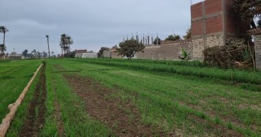 انخفاض ملحوظ بدرجة الحرارة وسحب كثيفة وأمطار خفيفة اليوم بسوهاج