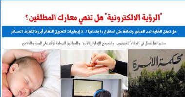 الرؤية الإلكترونية.. هل تنهى معارك المطلقين بسبب الأطفال؟.. نقلا عن "برلماني"