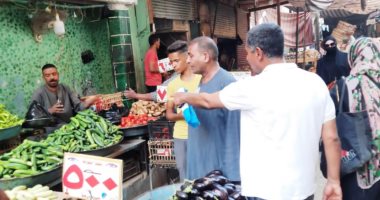 حملات تموينية مكثفة لضبط الأسواق والتصدي لمحاولات حجب السلع بأسوان