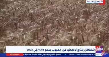 انخفاض إنتاج أوكرانيا من الحبوب 40% فى 2022.. تقرير لـ"إكسترا نيوز"