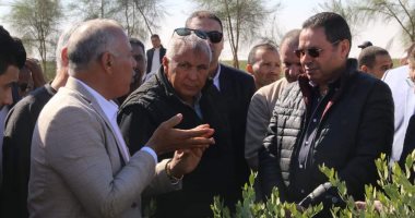 لجنة الزراعة بالنواب تطالب بالتوسع فى زراعة نباتات تستخدم كوقود للطائرات