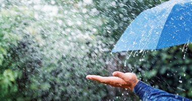 أطرف الأساطير الإنجليزية عن التنبؤ بسقوط الأمطار.. جلوس البقر أبرزها