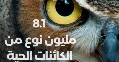 اليونسكو تحذر: مليون نوع من بين 8.1 مليون من الكائنات الحية مهددة بالانقراض