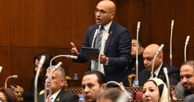 ممثل التيار الإصلاحى الحر بالحوار الوطنى يطالب بتدشين مؤشر وطنى لقياس مستويات التمييز فى المؤسسات