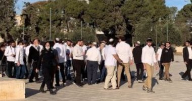 باختصار.. أهم الأخبار العربية والعالمية حتى الظهيرة.. اقتحام المسجد الأقصى وانهيار منجم بالصين.. وسقوط حافلة بنهر بإسبانيا.. وبدء التصويت بانتخابات البلدية بسلطنة عمان.. ومصرع أوكرانيين فى إزالة الألغام بخيرسون