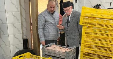 ضبط مجزر دواجن بدون تراخيص خلال حملات تفتيشية لتموين الغربية