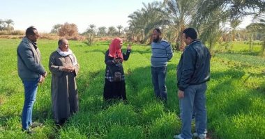 تنفيذ تجارب زراعة القمح على مصاطب فى عدة قرى بالوادى الجديد