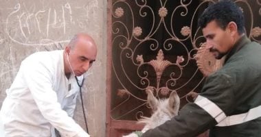 جامعة الزقازيق توجه قافلة بيطرية لقرية الديسة في محافظة الشرقية