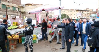 محافظ كفر الشيخ يقود حملة لإزالة الإشغالات ويوجه رؤساء المدن بمواصلة شن الحملات