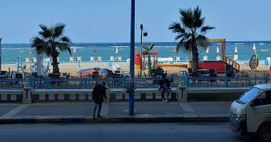 طقس الإسكندرية الآن.. شمس ساطعة وانكسار موجة الطقس السيئ وتوقف الأمطار.. صور