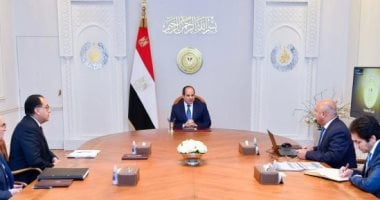 توجيهات رئاسية بشأن تطوير الموانئ لتكوين ظهير من المناطق اللوجستية 