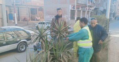 الأجهزة التنفيذية بالشرقية تُكثف حملات النظافة استعدادا لعيد الميلاد
