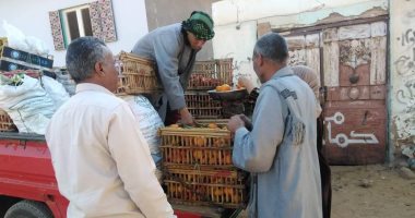 المحافظات تستكمل خططها لضبط أسعار السلع فى الأسواق بالتوسع فى فتح منافذ البيع المخفضة.. حملات مكثفة لضبط محتكرى السلع.. الالتزام بوضع قوائم لأسعار السلع فى أماكن واضحة.. ومحاضر فورية للمخالفين.. صور